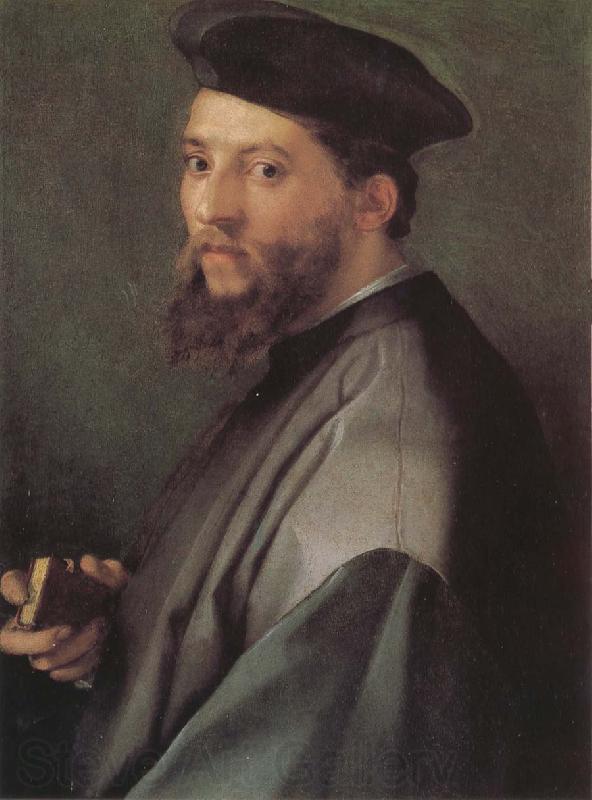 Andrea del Sarto Portrait of ecclesiastic Norge oil painting art
